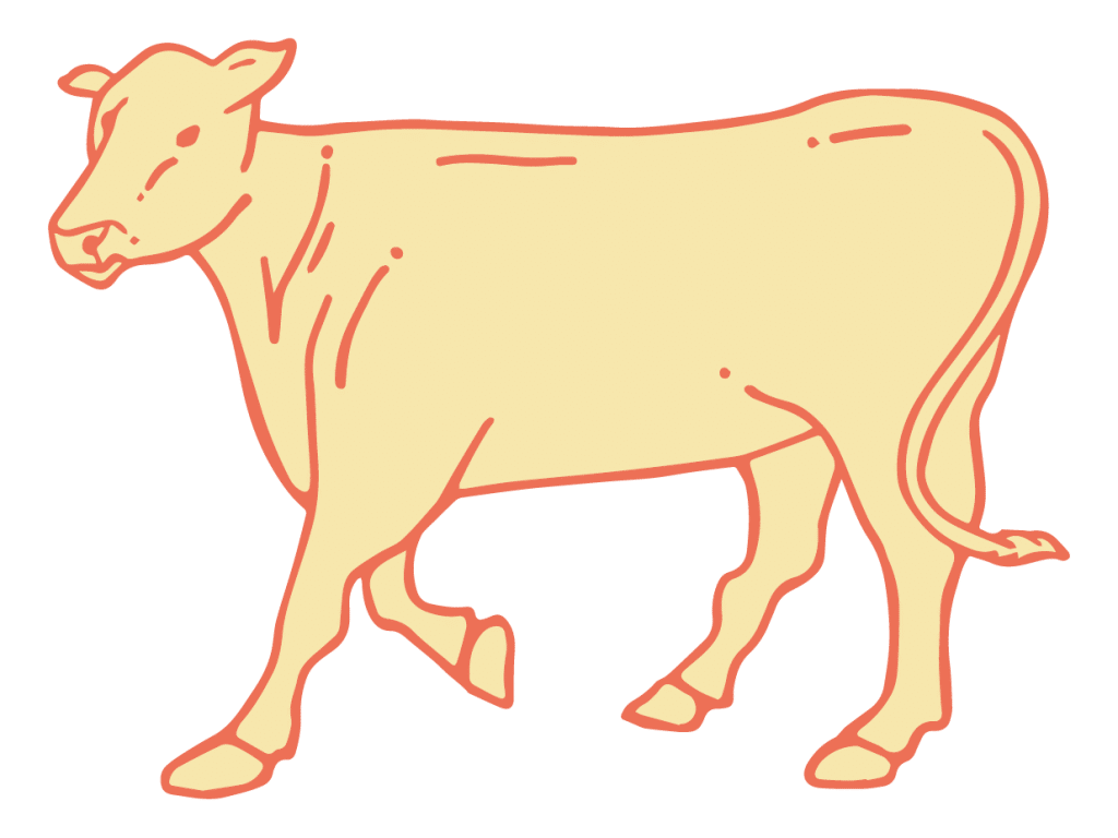 skincare branding cow yellow