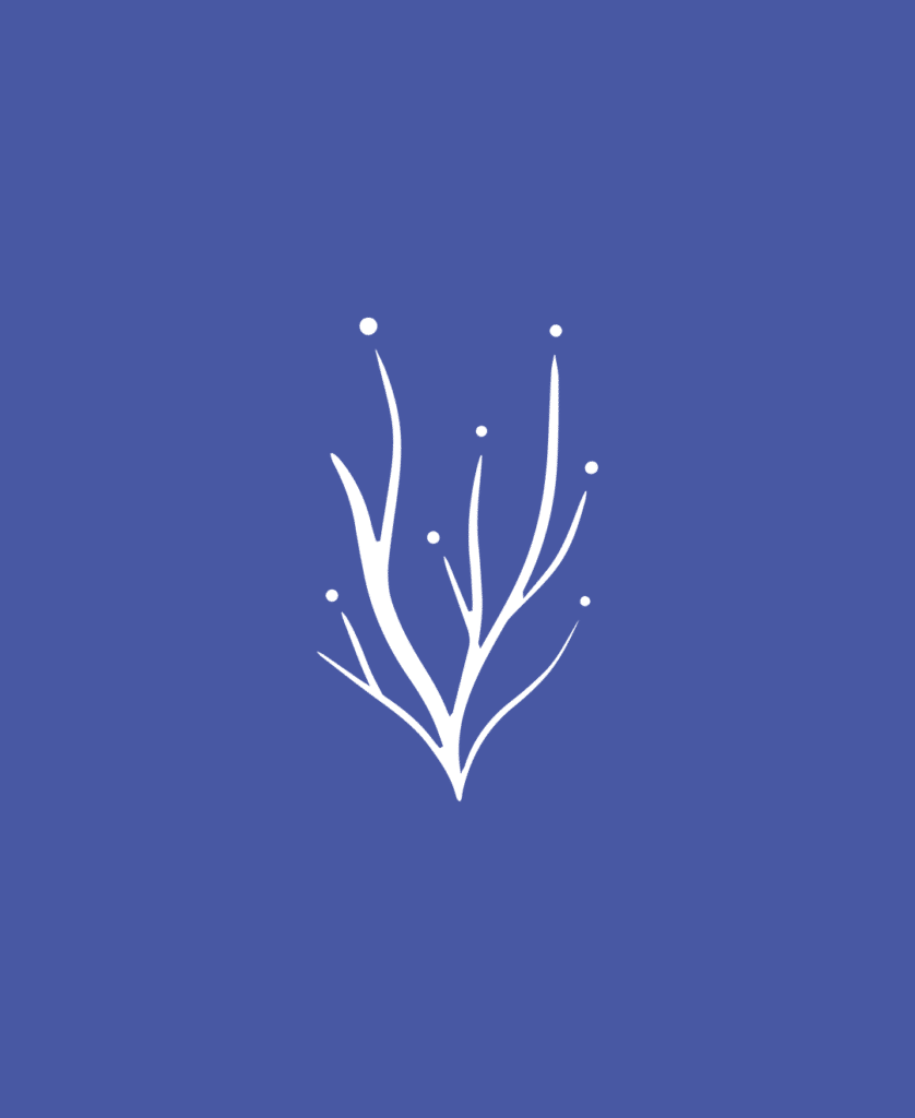 root cause icon for aloha nutrition on blue background