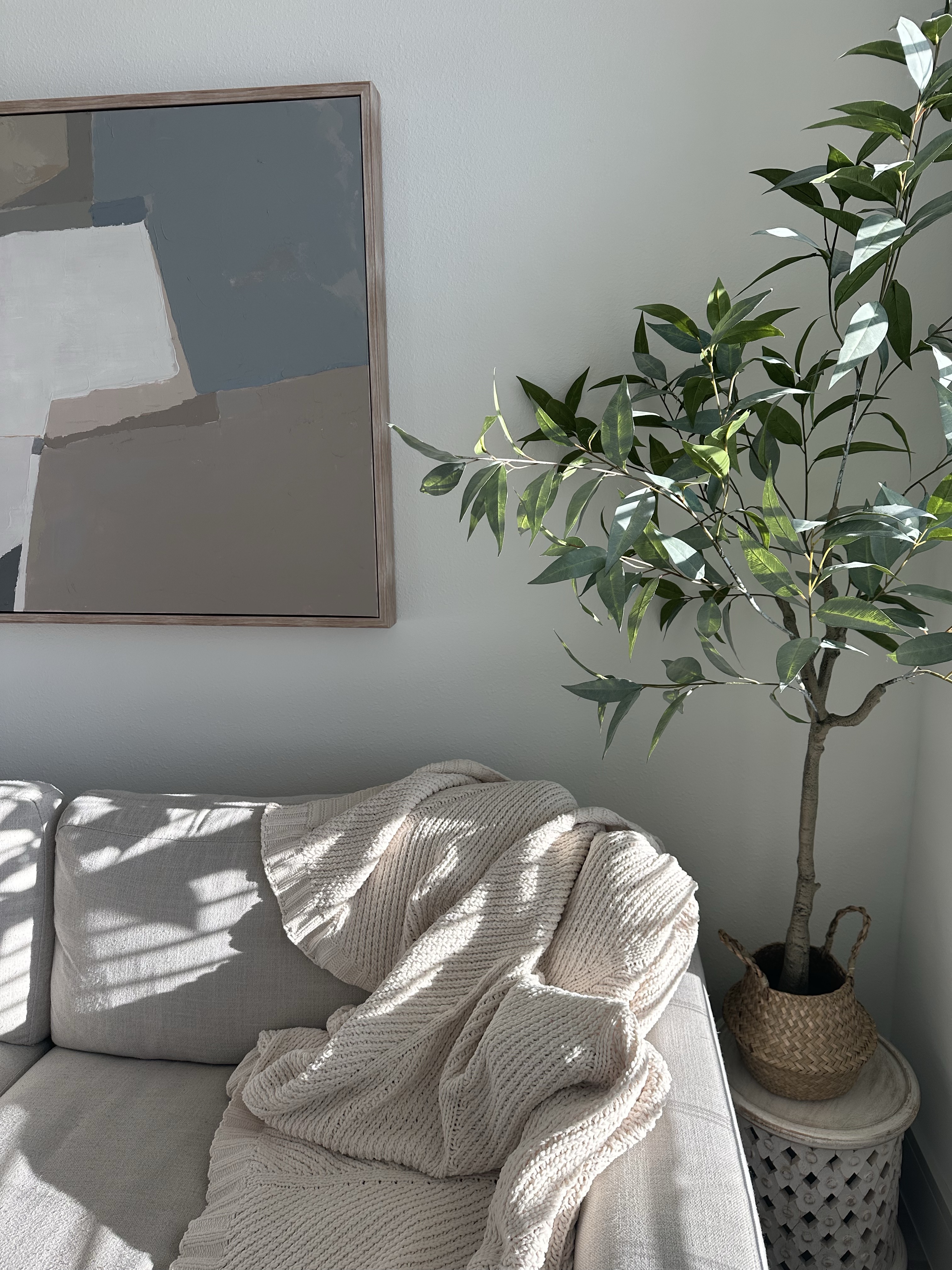 A quiet office features a couch with a soft blanket, a leafy potted tree, and framed art for World Mental Health Day 2026